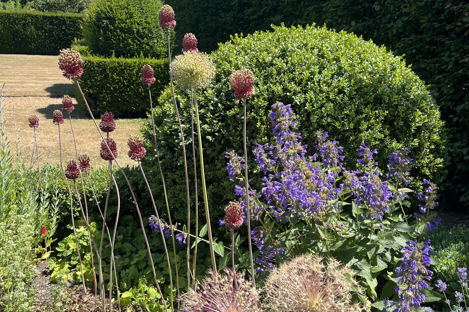 Vom Rasen zum Gartenzimmer